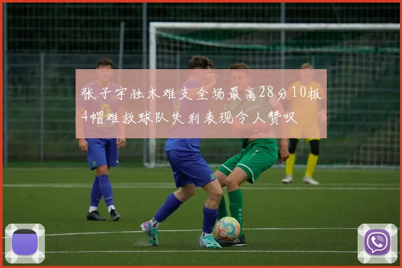张子宇独木难支全场最高28分10板4帽难救球队失利表现令人赞叹